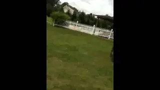 Michael be Rollin...