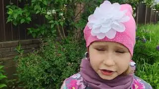 Отличие страны от государства