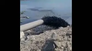 Черную жидкость сливают в Каспий