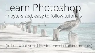 Photoshop Tutorials for Beginners - What Would You Like to Learn?