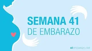 Semana 41 de embarazo | 41 semanas de embarazo | El embarazo semana a semana
