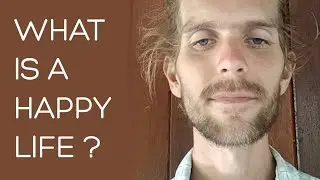 What is happiness ?