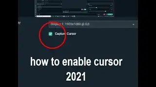 How to enable/disable your cursor in Streamlabs OBS 2021
