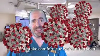 The Stupid Vaccine