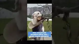 Про Валдберис