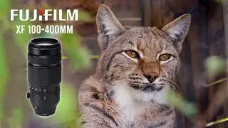 Fujifilm XF 100-400mm Review - Still the go to in 2024? & Romania's Wildlife