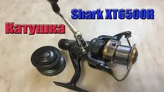 Review of the Chinese reel SHARK XT6500R