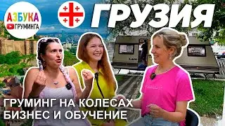 Груминг в Грузии. Открытие салона, груминг-салон в доме на колесах
