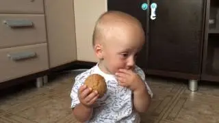 Песчаные дюны на десне . Пуховка .двойня
