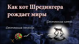 Кот Шредингера