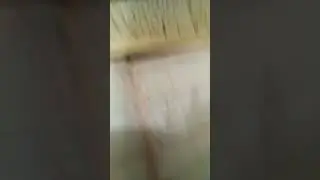 Изи катка