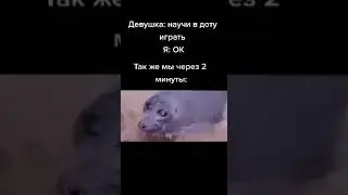 1 скил 3 1 скилл 3 