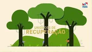 Governo do Pará - Unidades de Recuperação
