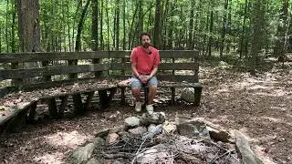 Drinking In The Woods