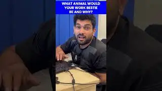 Our Employees Answer the Question "What Animal Would Your Work Bestie Be?"