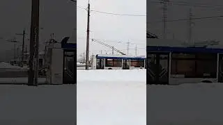 Троллейбус 5265.00 Тролза "Мегаполис" №5204 @user-fq8ld4vh2v-классный!