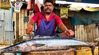 KASIMEDU SPEED SELVAM ARAKOLA WAHOO FISH CUTTING VIDEO CUTTING FOCUS