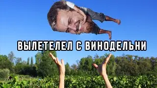 ФРАНЦУЗСКИЕ ЦЫГАНЕ ЛИШИЛИ ДОМА И ВИНОГРАДНИКОВ