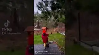 Lithuania, autumn, boy feed birds