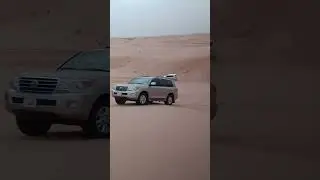 сафари в Дубаи