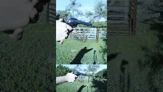 Reviewing a Ruger New Vaquero (P3)