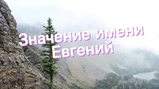 Значение имени Евгений. Толкование, судьба, характер