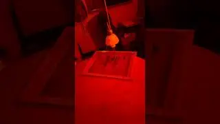 Wyatt Eiden From TikTok Screenprinting T-Shirts #3