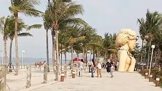 FIRST TIME VISITING ALOHA BEACH, PIK