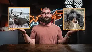 Experience Alberta Mule Deer & BC Black Bear Hunts | Mindful Hunter Outfitting Now Open