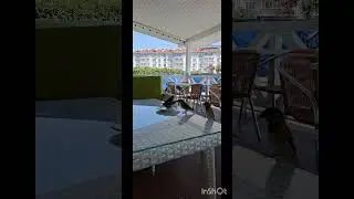 Маленькие голодные гости