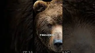 Unbelievable bear story on JRE. #shorts