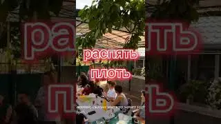 #рекомендации #вера #новости #бог #психология #салтаненко #любовь #кино #религия#библия