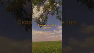 р🌱е🌱к🌱о🌱м🌱е🌱е🌱н🌱д🌱а🌱ц🌱и🌱и🌱