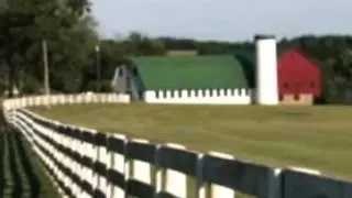 Ride On Thomascow