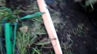 Электролит