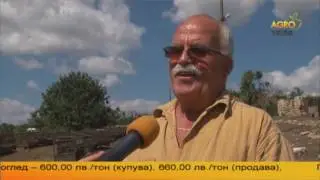 Как оцелява овцеферма в Русенско