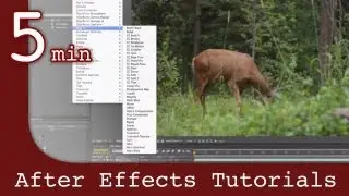 After Effects Tutorial: Working with effects and animation in After Effects Lesson