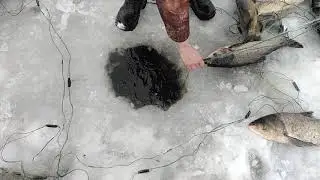 ЗИМНЯЯ РЫБАЛКА 2020 НА СЕТИ!!! ОТЛИЧНЫЙ ЛОВ)!!