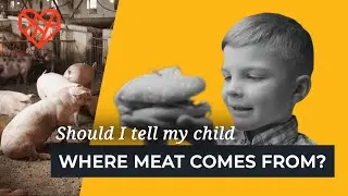 Should I tell my child where meat comes from?