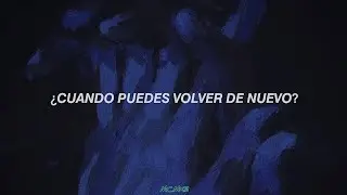 The Last Shadow Puppets - The Dream Synopsis [ Sub. Español ]