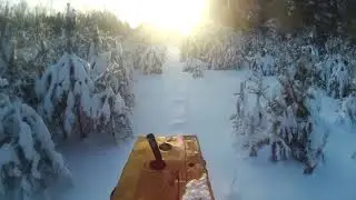 ДТ-75. Сказочная тайга