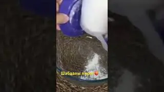 Шабдалы пирог🍑