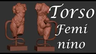 Female torso 1\5