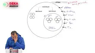 006 - Fen Bilimleri ÖABT - Atomaltı Parçacıklar - Ali Hikmet Demirkaya