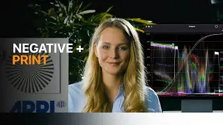 How to Build Film Emulation in DaVinci Resolve Negative + Print Workflow
