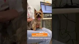 Эпилепсия. Что нужно знать об эпилепсии?