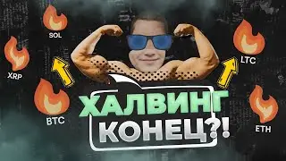 Механизм ХАЛВИНГА в PoW - Часть 2 | CoinEx Гайды
