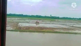 তারাপীঠ ঘুরতে যাওয়ার সময়