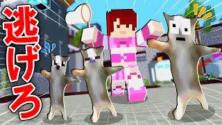 ハッピーキャットを捕まえに人間が襲ってきた！？急いで逃げろ！『猫ミーム鬼ごっこまとめ』