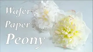 Wafer Paper Peony Tutorial